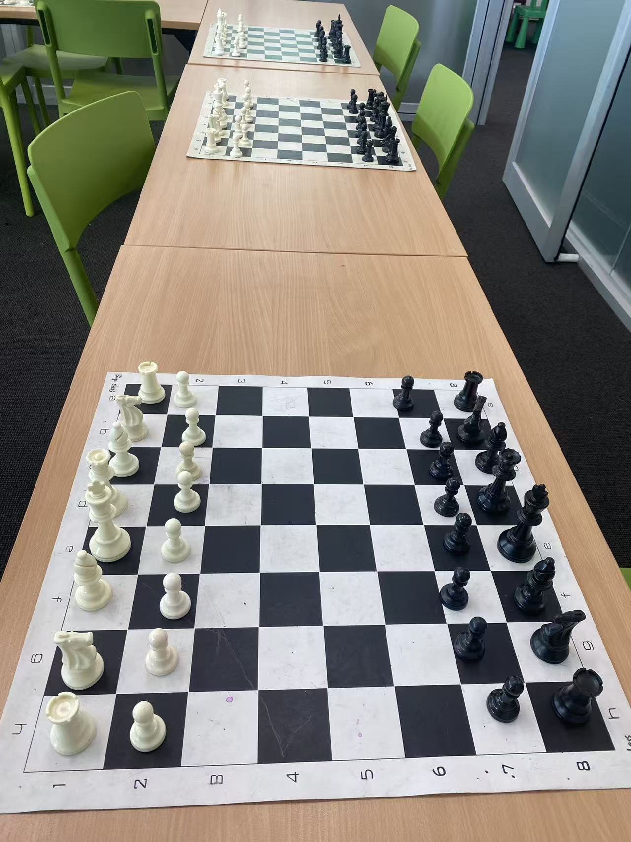 Chess Set – Board and Pieces (Official)